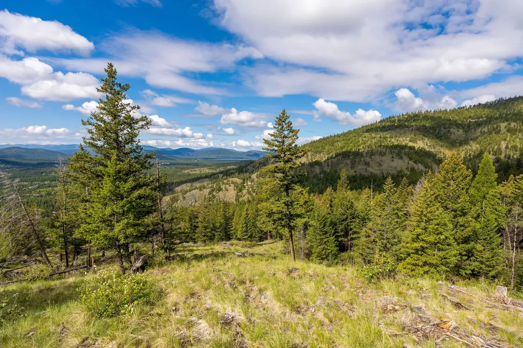 Nhn Idaho Hill Road Marion MT 59925