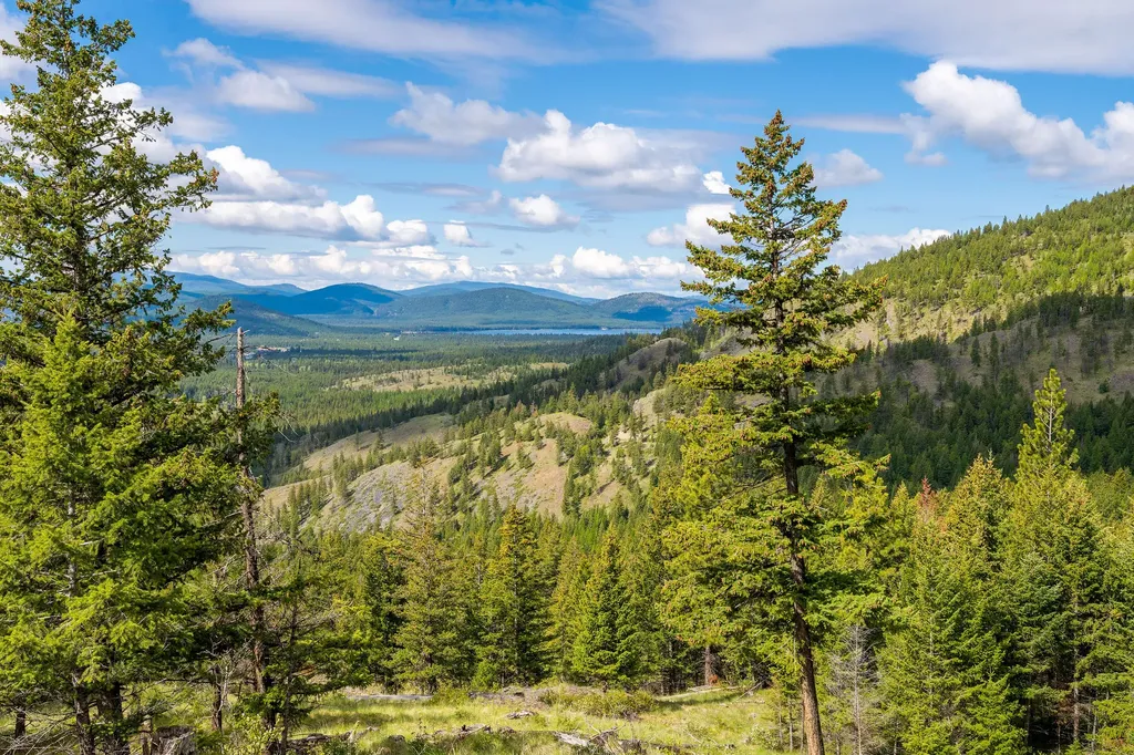 Nhn Idaho Hill Road Marion MT 59925