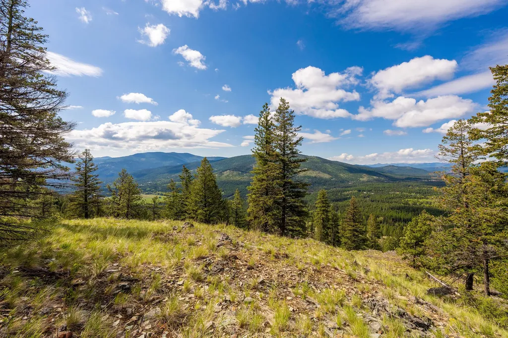 Nhn Idaho Hill Road Marion MT 59925
