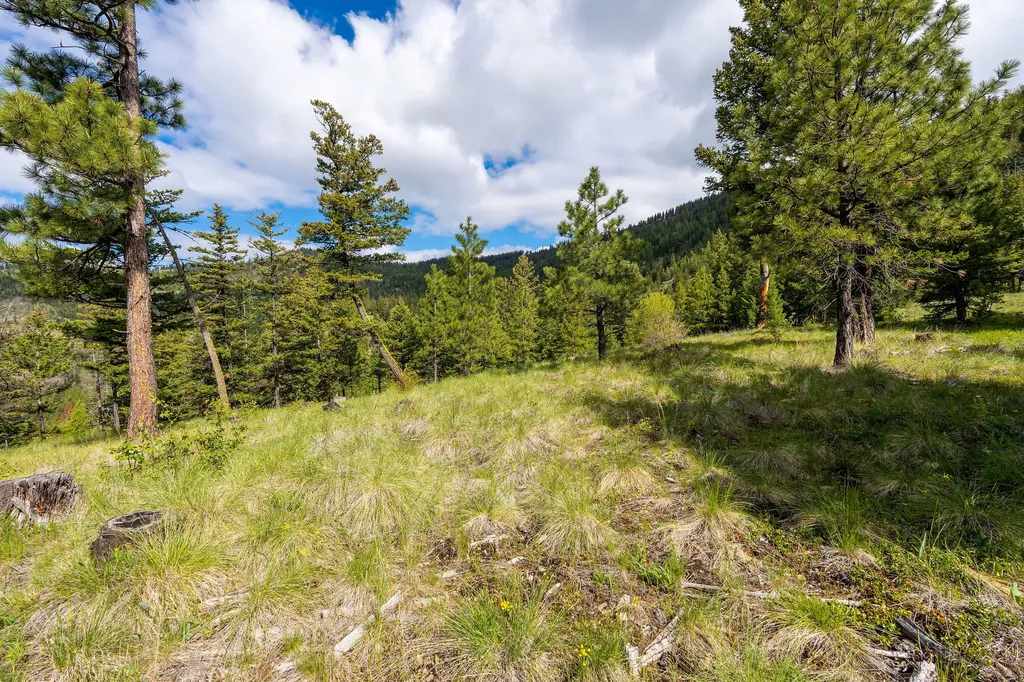 Nhn Idaho Hill Road Marion MT 59925