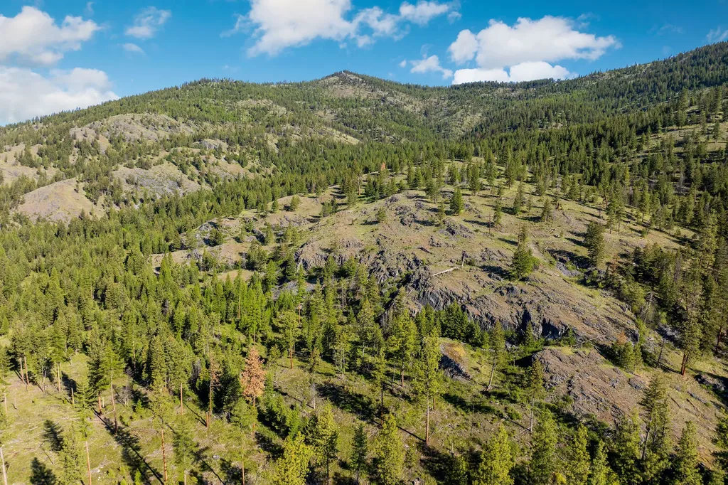 Nhn Idaho Hill Road Marion MT 59925