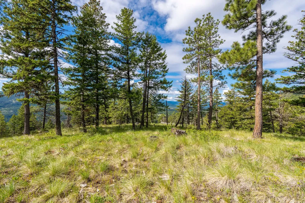 Nhn Idaho Hill Road Marion MT 59925
