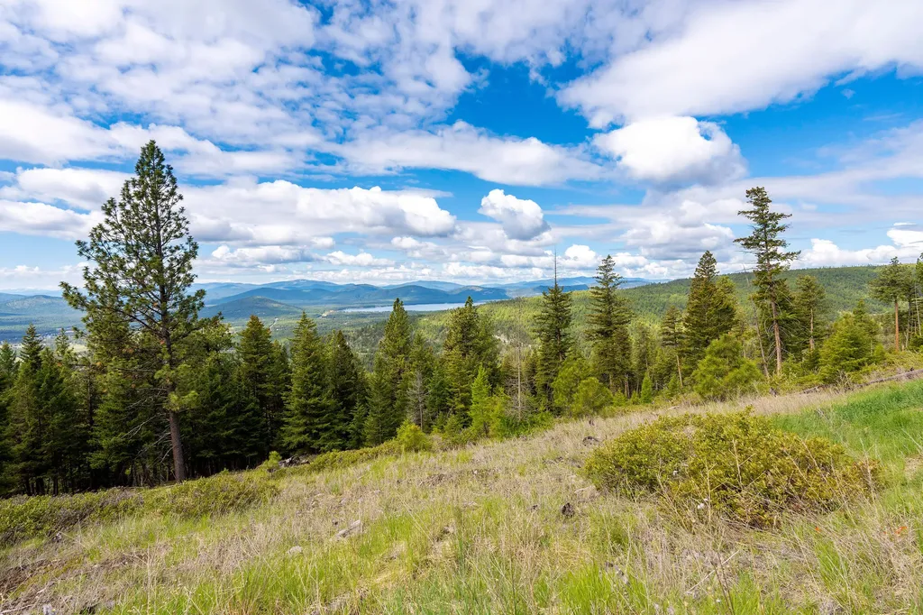 Nhn Idaho Hill Road Marion MT 59925