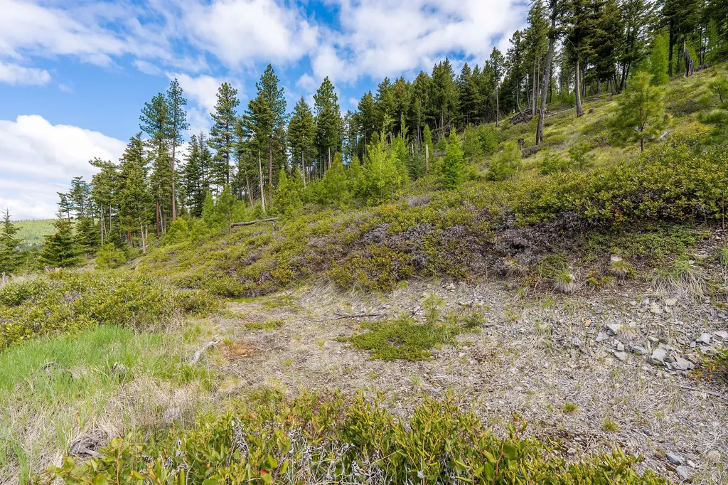 Nhn Idaho Hill Road Marion MT 59925