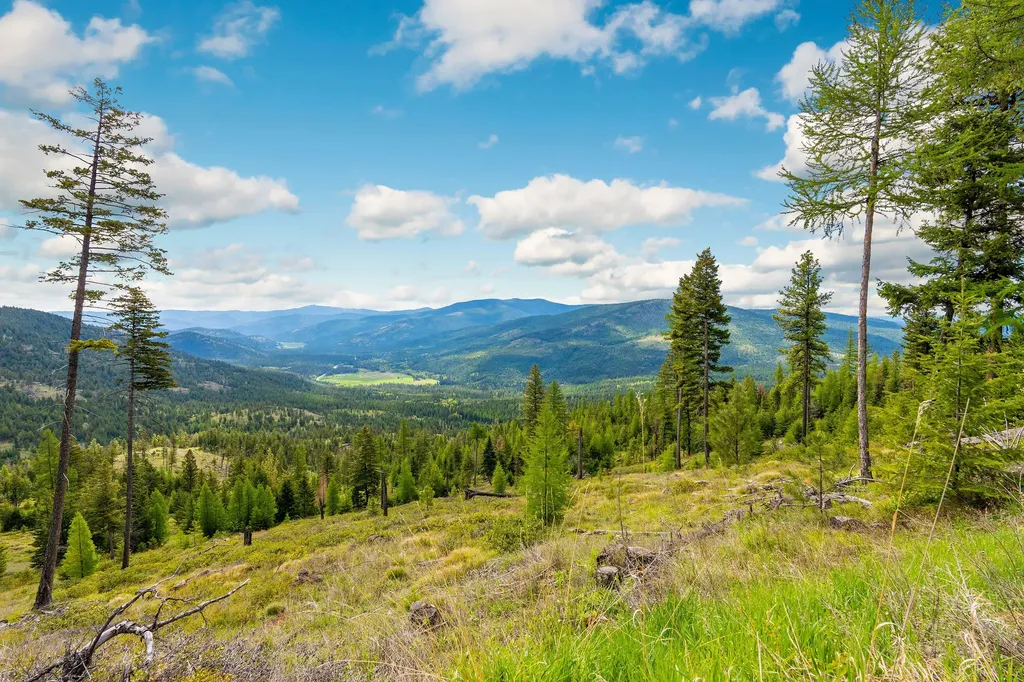 Nhn Idaho Hill Road Marion MT 59925
