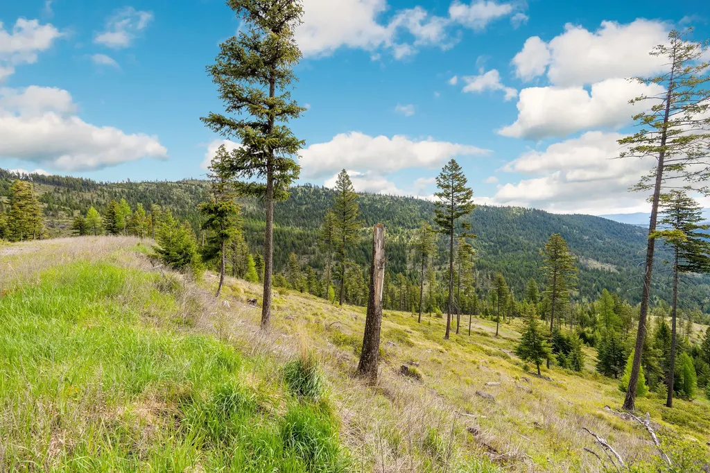 Nhn Idaho Hill Road Marion MT 59925