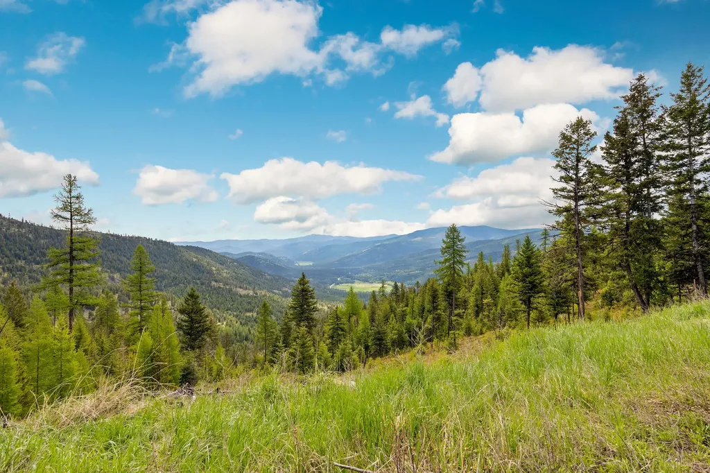 Nhn Idaho Hill Road Marion MT 59925