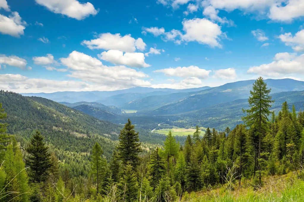Nhn Idaho Hill Road Marion MT 59925