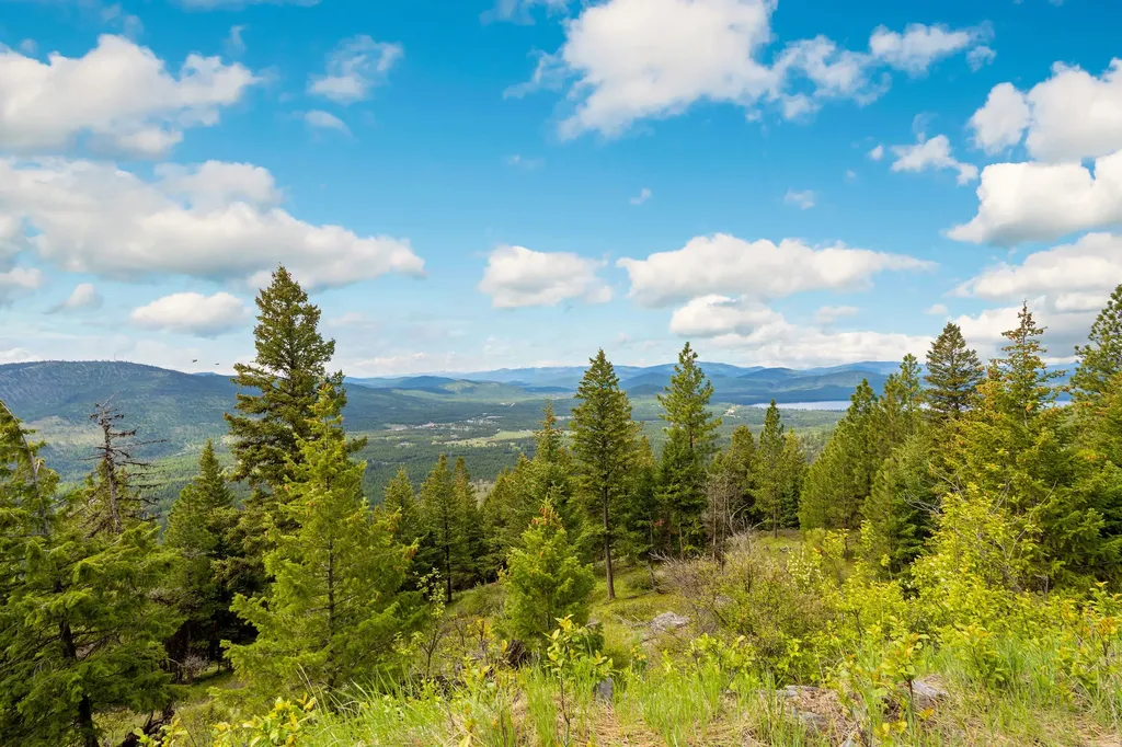 Nhn Idaho Hill Road Marion MT 59925