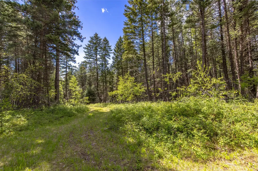 Nhn Red Hawk Drive Bigfork MT 59911