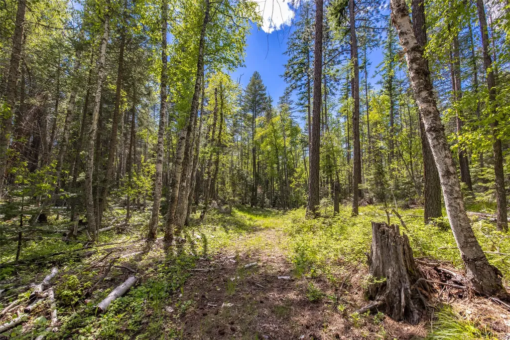 Nhn Red Hawk Drive Bigfork MT 59911