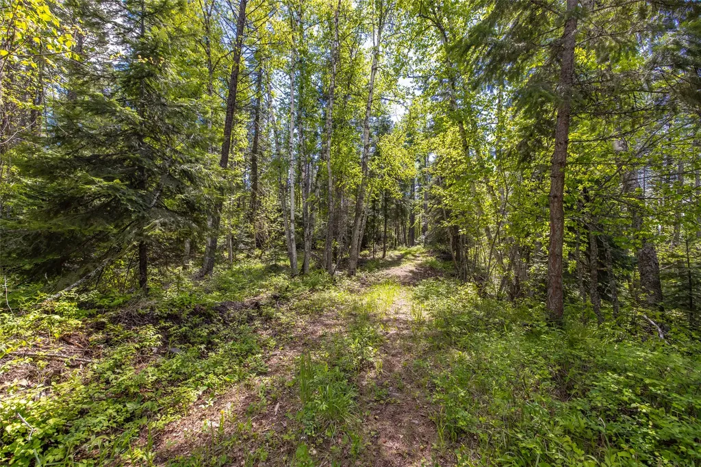 Nhn Red Hawk Drive Bigfork MT 59911
