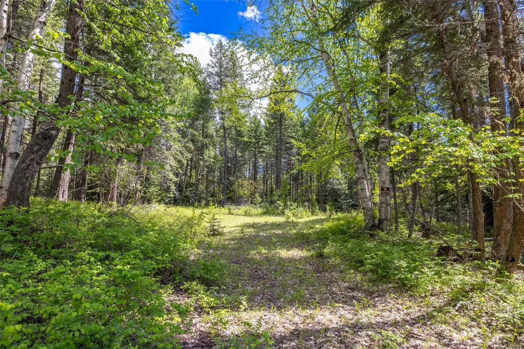 Nhn Red Hawk Drive Bigfork MT 59911