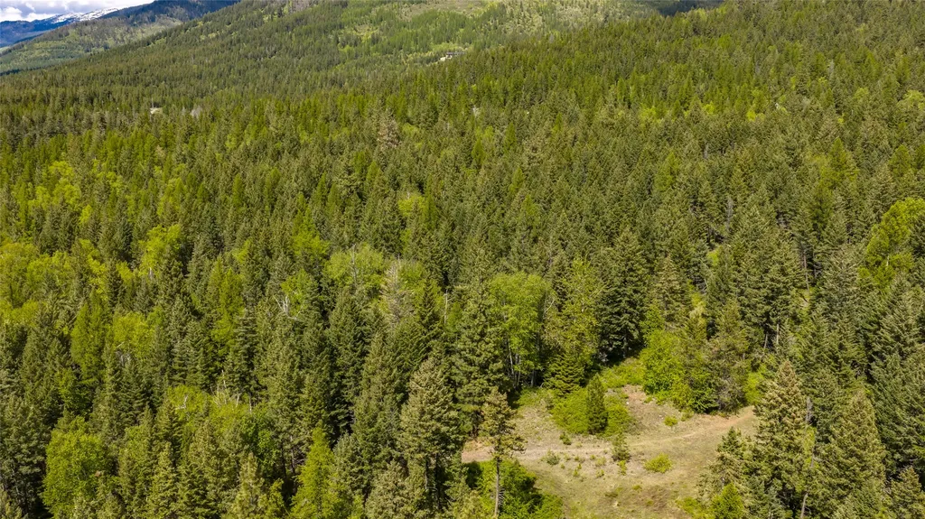 Nhn Red Hawk Drive Bigfork MT 59911
