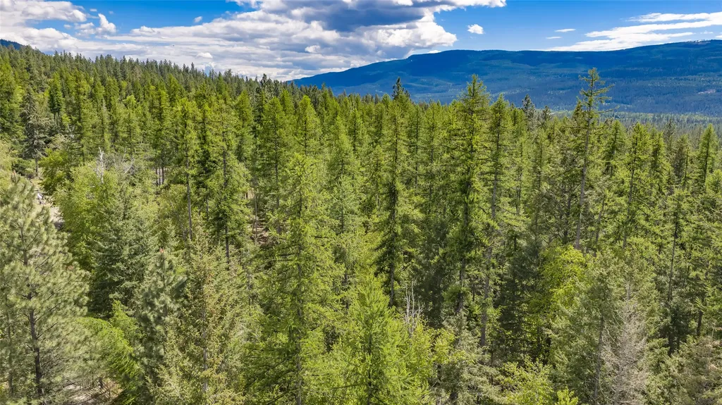 Nhn Red Hawk Drive Bigfork MT 59911