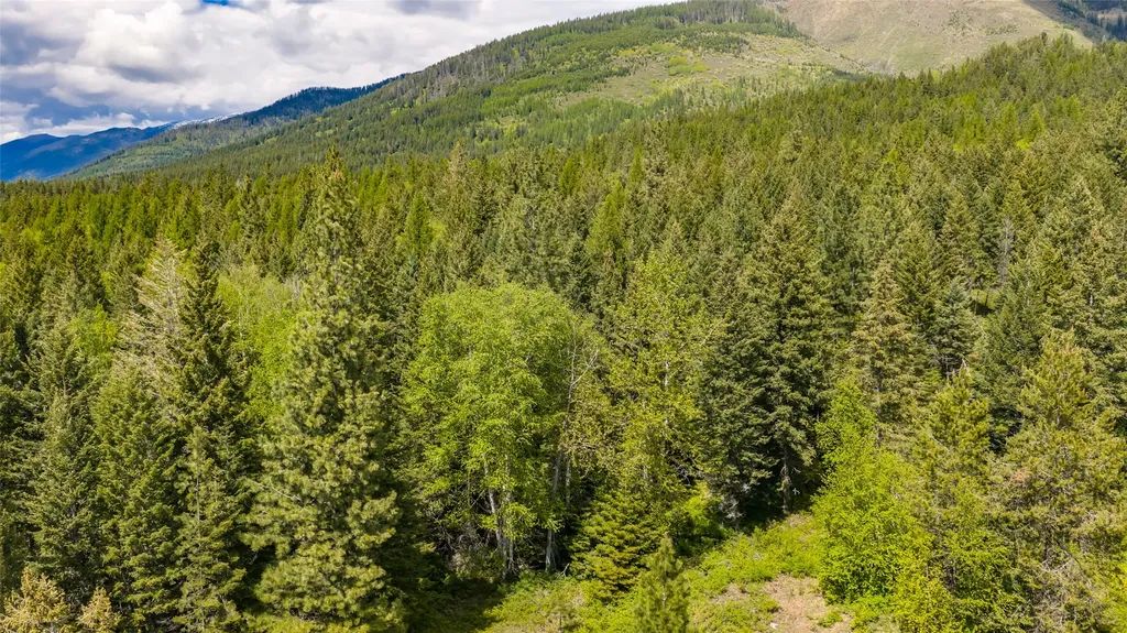 Nhn Red Hawk Drive Bigfork MT 59911