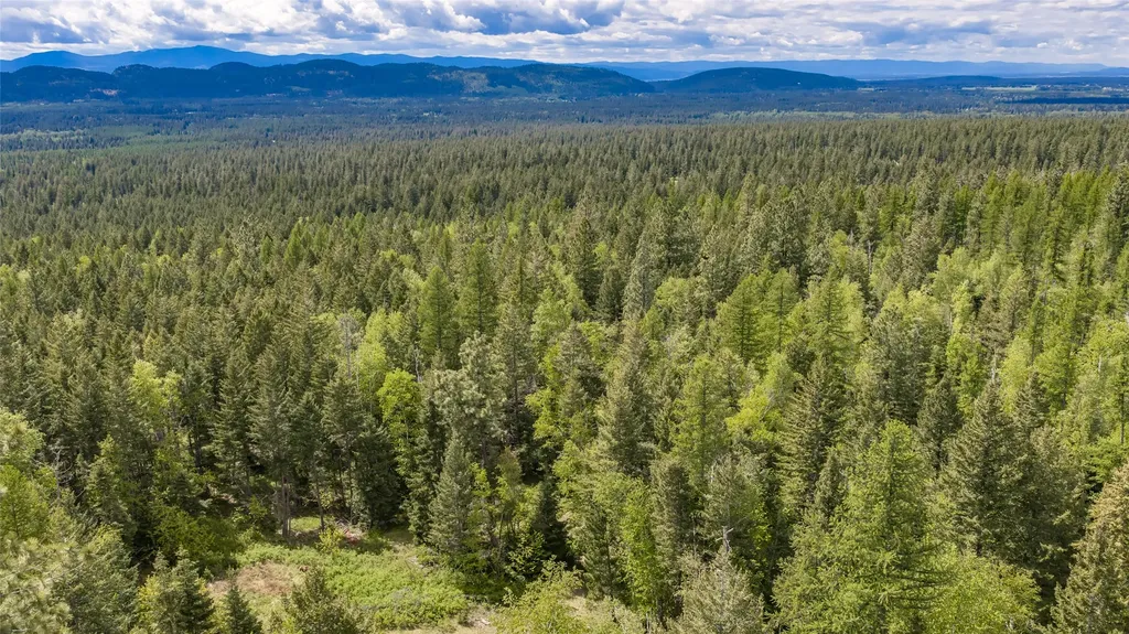 Nhn Red Hawk Drive Bigfork MT 59911