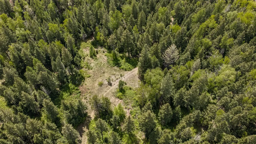 Nhn Red Hawk Drive Bigfork MT 59911