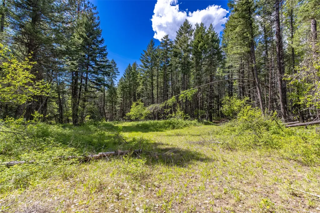 Nhn Red Hawk Drive Bigfork MT 59911