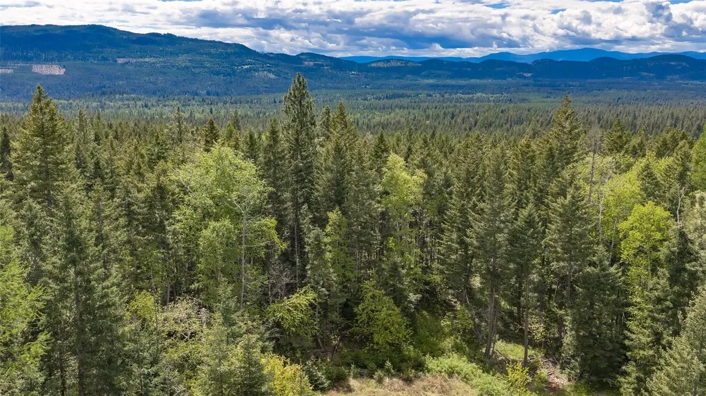 Nhn Red Hawk Drive Bigfork MT 59911