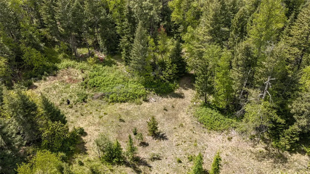 Nhn Red Hawk Drive Bigfork MT 59911