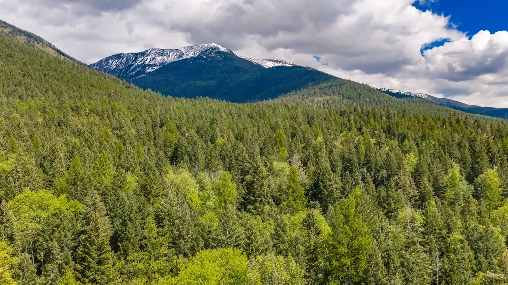 Nhn Red Hawk Drive Bigfork MT 59911