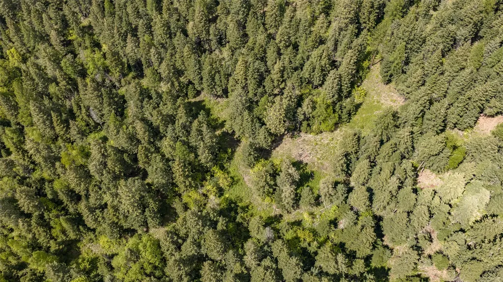 Nhn Red Hawk Drive Bigfork MT 59911