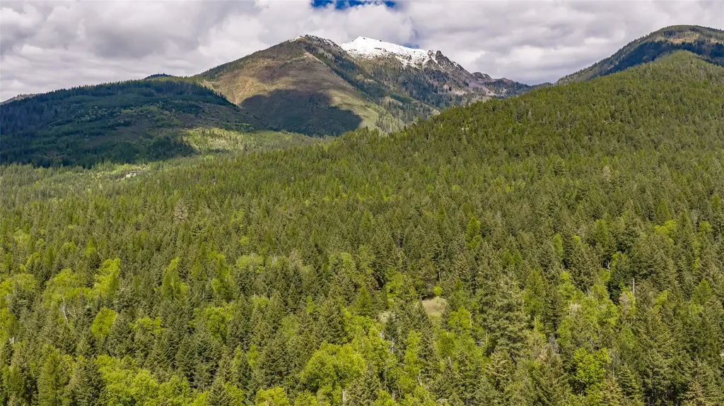 Nhn Red Hawk Drive Bigfork MT 59911