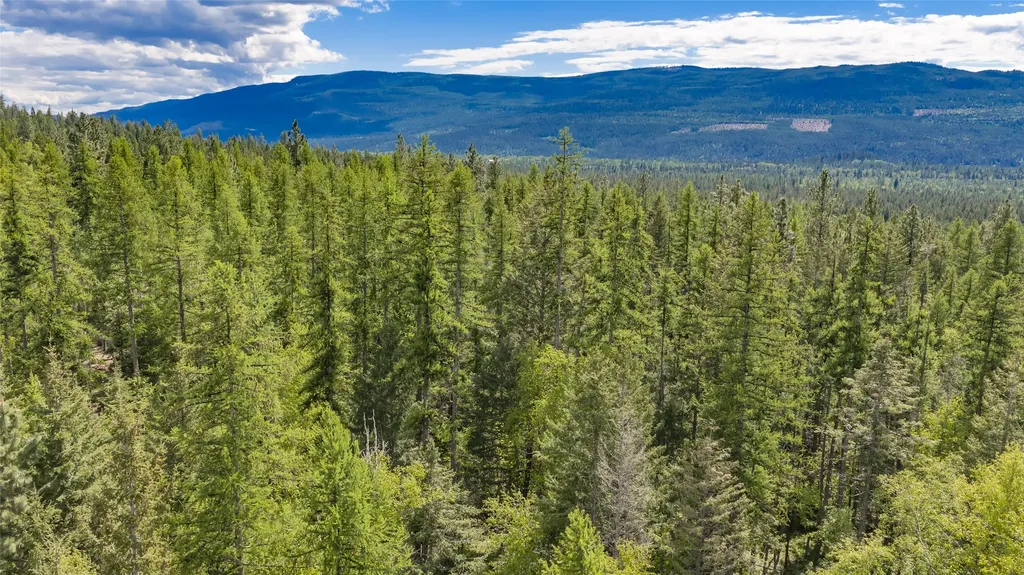 Nhn Red Hawk Drive Bigfork MT 59911
