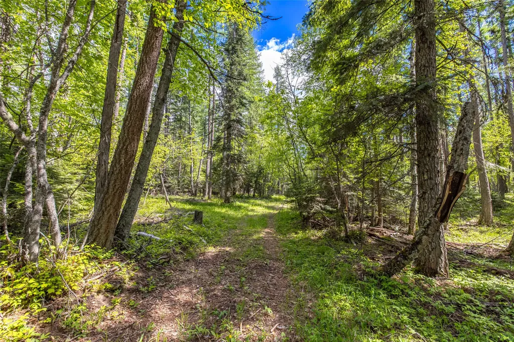 Nhn Red Hawk Drive Bigfork MT 59911