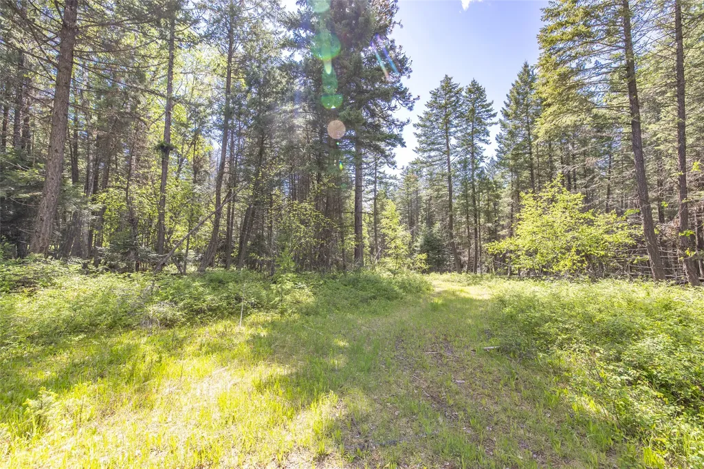 Nhn Red Hawk Drive Bigfork MT 59911
