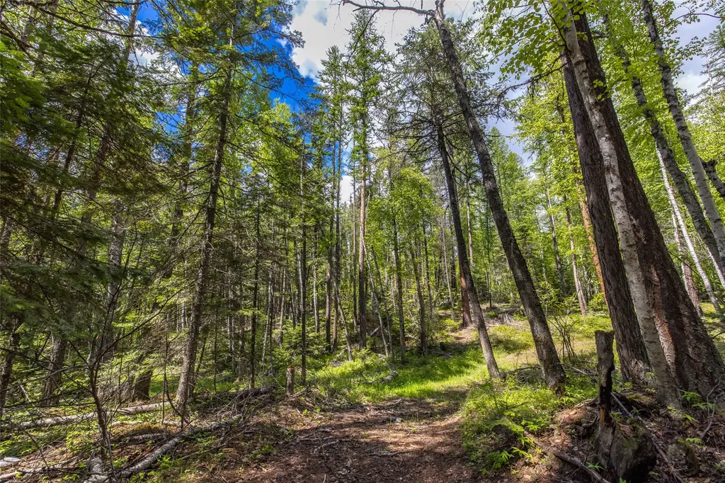 Nhn Red Hawk Drive Bigfork MT 59911