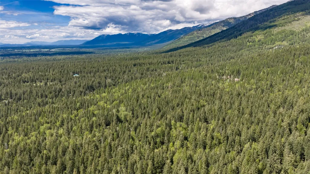 Nhn Red Hawk Drive Bigfork MT 59911