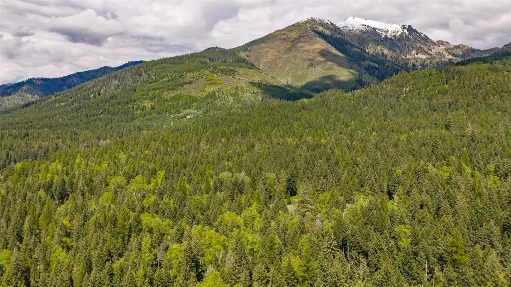 Nhn Red Hawk Drive Bigfork MT 59911