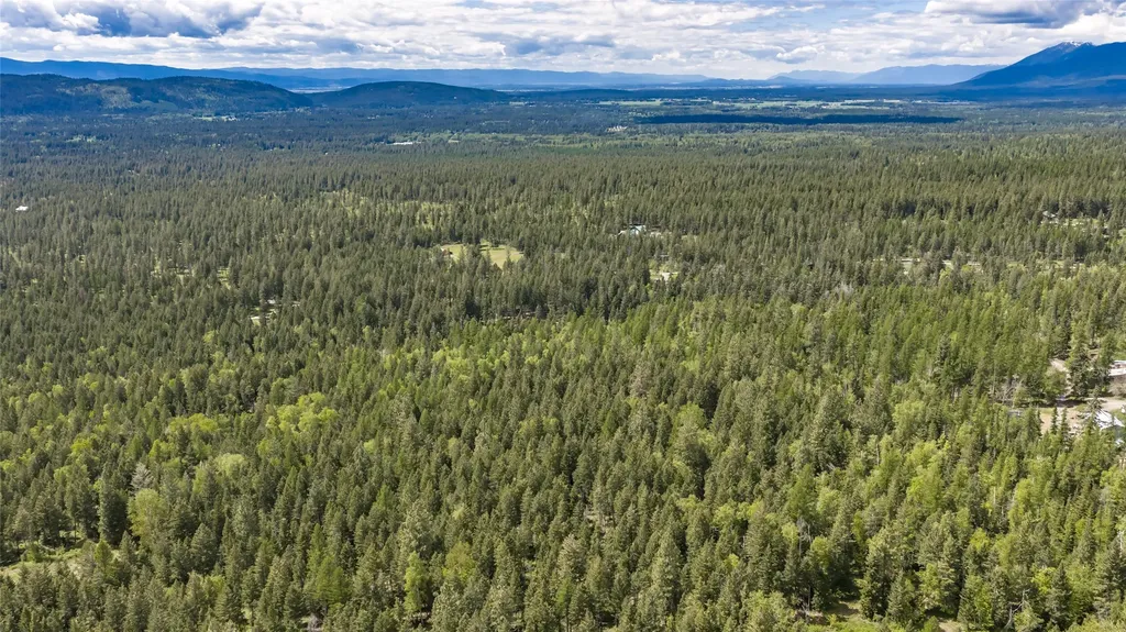 Nhn Red Hawk Drive Bigfork MT 59911