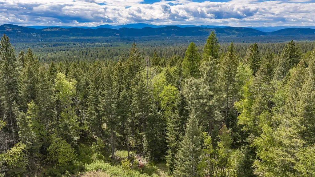Nhn Red Hawk Drive Bigfork MT 59911