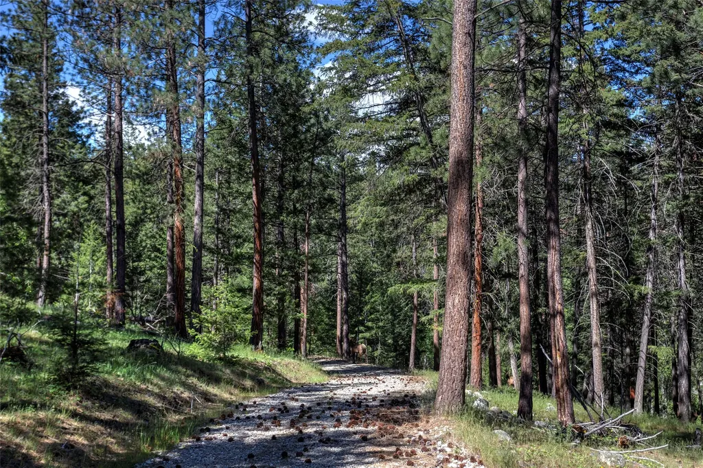246 Coal Mine Road Darby MT 59829
