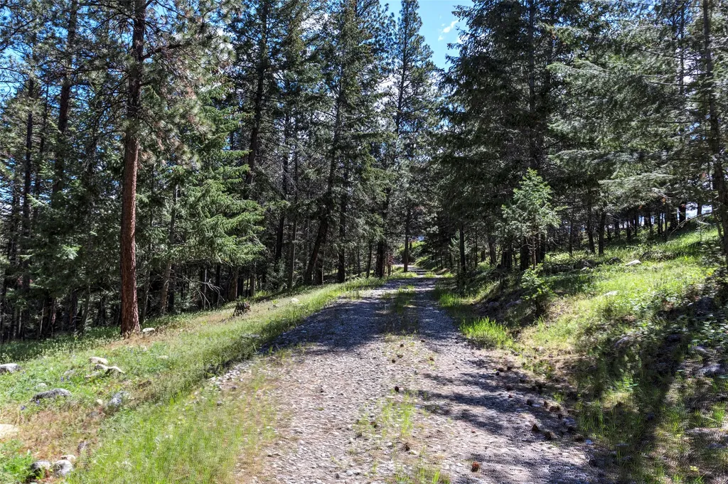 246 Coal Mine Road Darby MT 59829