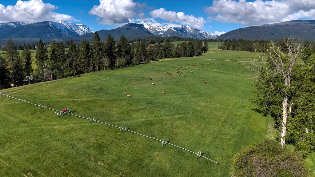 246 Coal Mine Road Darby MT 59829
