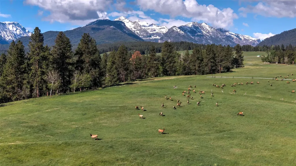 246 Coal Mine Road Darby MT 59829