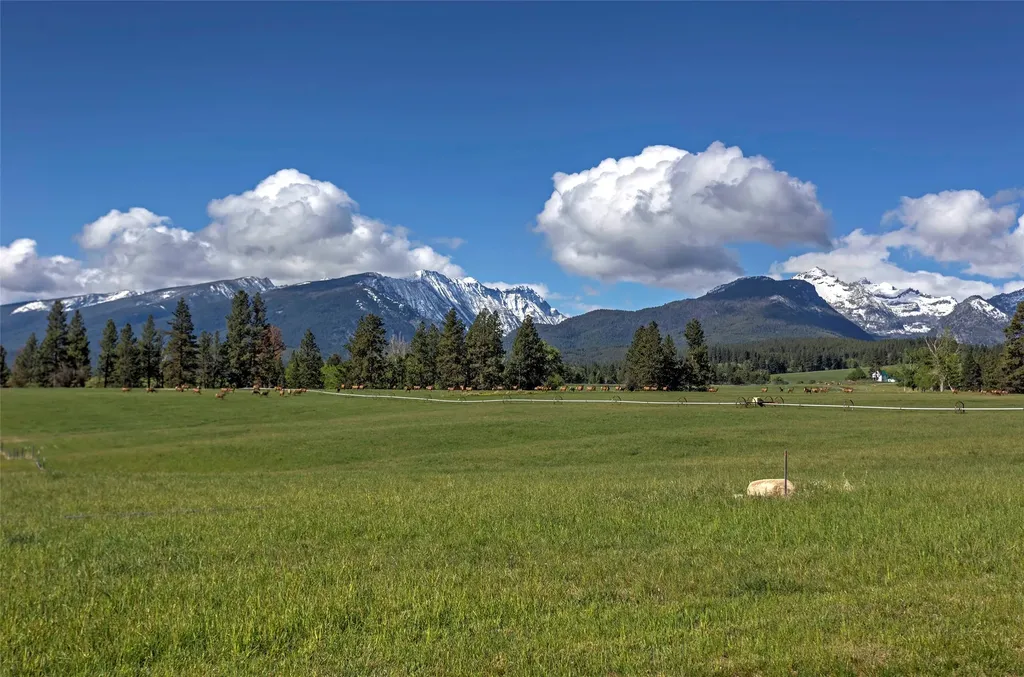 246 Coal Mine Road Darby MT 59829