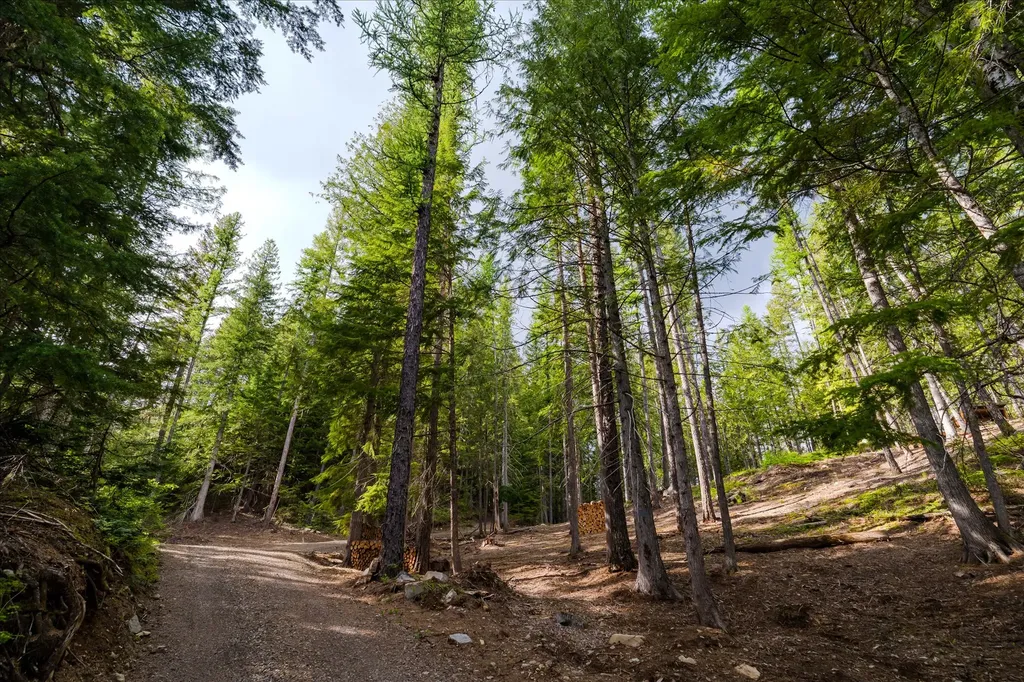 35 Otter Ln & 12 Wayback Circle Noxon MT 59853