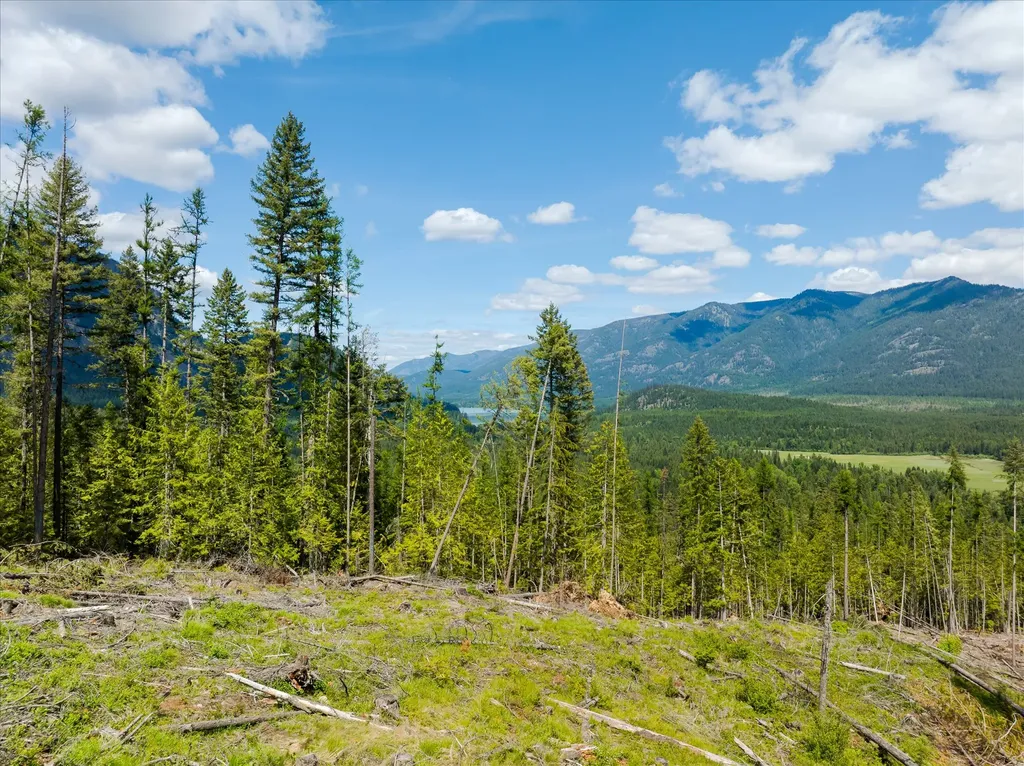 35 Otter Lane Noxon MT 59853