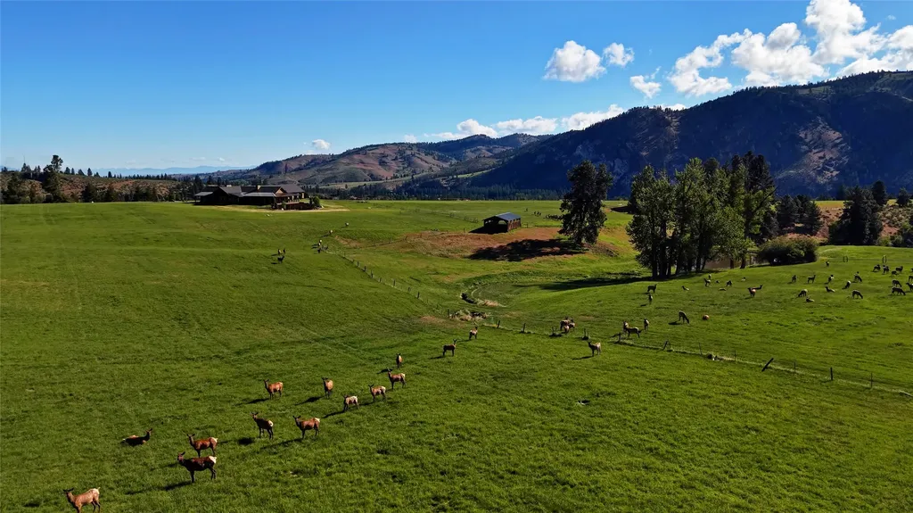 246 Coal Mine Road Darby MT 59829