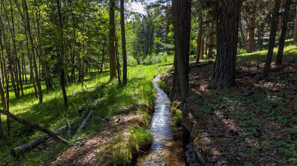 246 Coal Mine Road Darby MT 59829