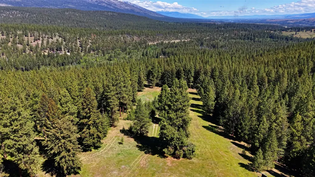 246 Coal Mine Road Darby MT 59829