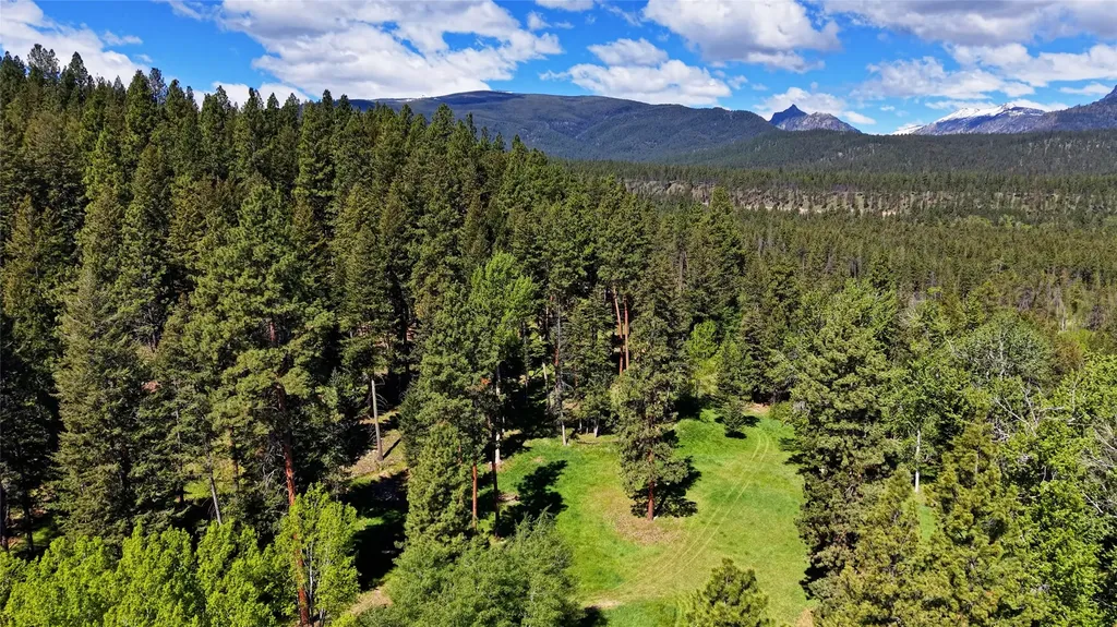 246 Coal Mine Road Darby MT 59829