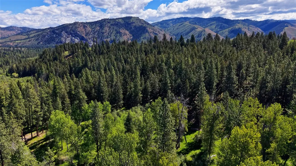246 Coal Mine Road Darby MT 59829