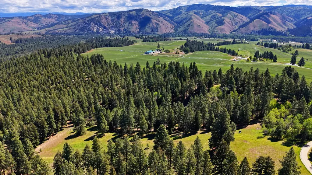 246 Coal Mine Road Darby MT 59829