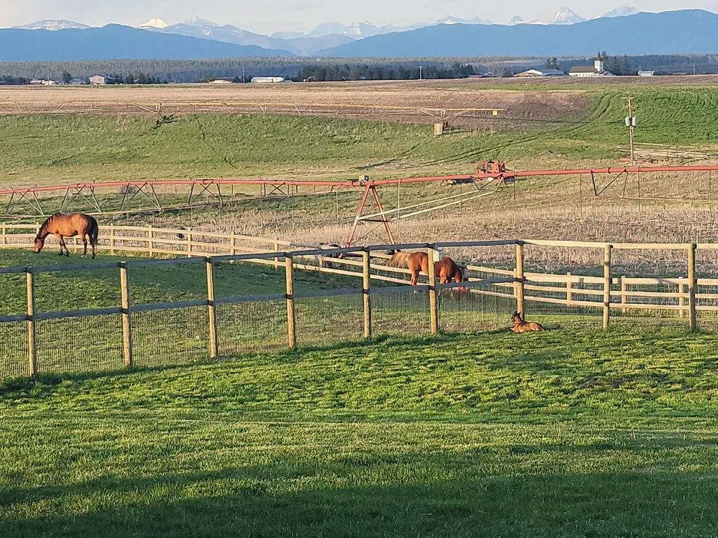 123 Canola Road Kalispell MT 59901